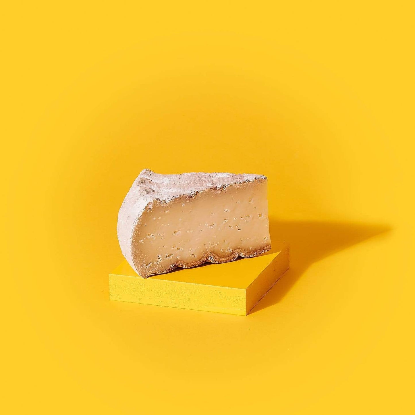 The Cheese Geek Holbrook