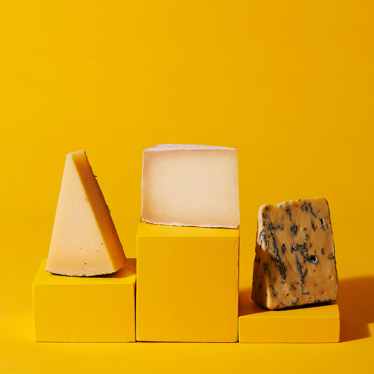 Cheese Podium for Top Cheeses