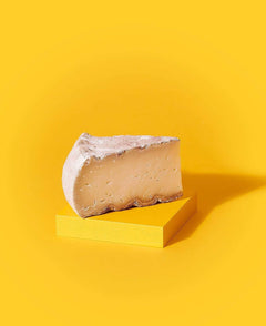 The Cheese Geek Holbrook