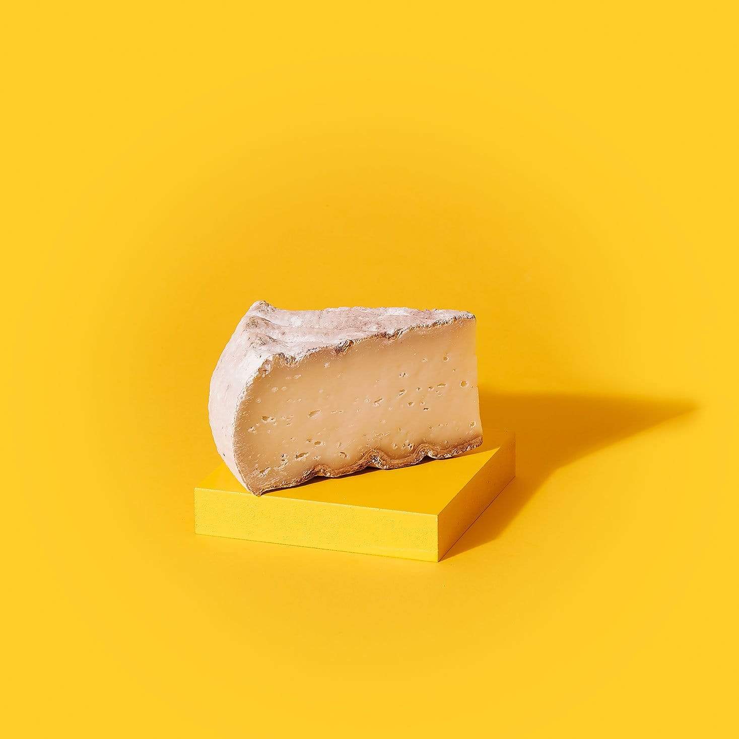 The Cheese Geek Holbrook