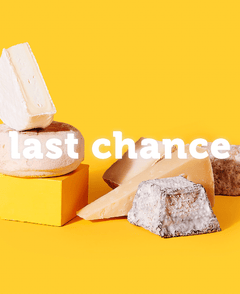 cheesegeek The Mystery Cheesebox